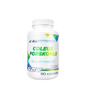 Coleus Forskohlii – 90 kapsul – Viking Supplements