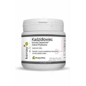 KENAY Boswellia Casperome Indena Phytosome (300 kapsul) - Viking Supplements