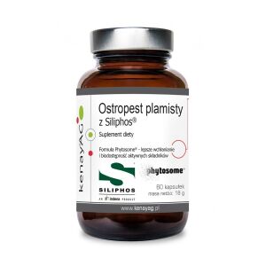 KENAY Mlečni osat Siliphos (60 kapsul) - Viking Supplements