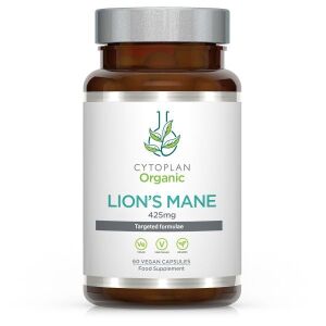 Lion's Mane – 60 kapsul – Viking Supplements