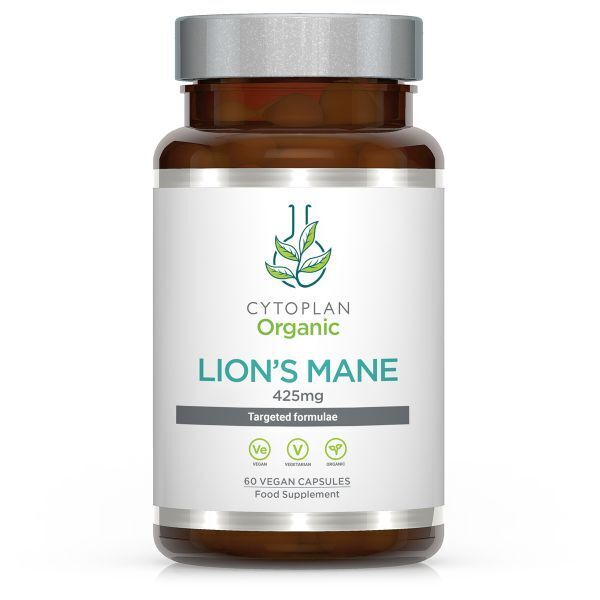 Lion's Mane – 60 kapsul – Viking Supplements