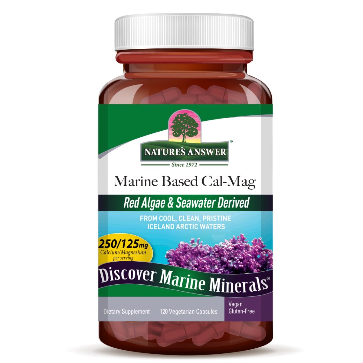 Nature's Answer Cal-Mag na morski osnovi, 120 kapsul – Viking Supplements