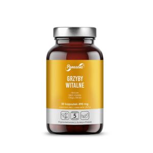 PANASEUS Vital mushrooms (50 kapsul) - Viking Supplements