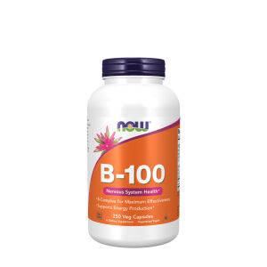 Vitamin B-100 – 250 kapsul – Viking Supplements