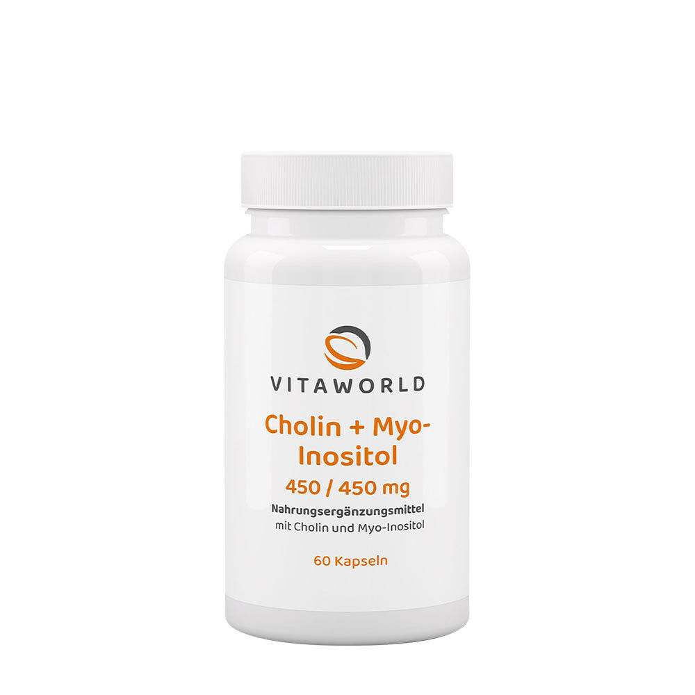 Vitaworld Holin + Inozitol 450/450 mg (60 kapsul) - Viking Supplements