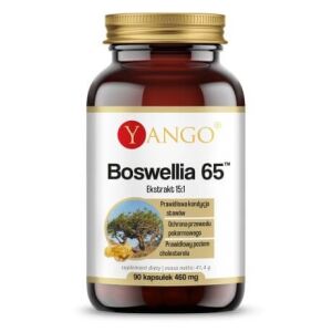 YANGO Boswellia 65 (90 kapsul) - Viking Supplements