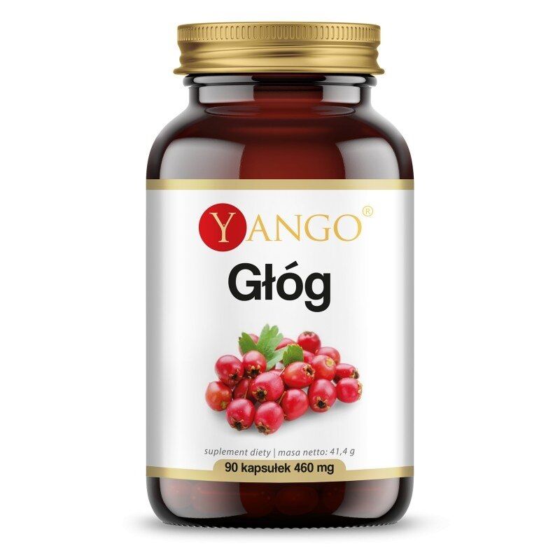 YANGO Glog – izvleček (90 kapsul) – Viking Supplements